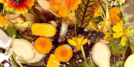 Screen Shot 2021-06-01 at 8.00.31 PM